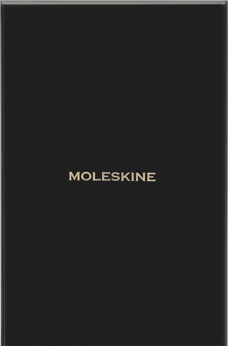 Regali Moleskine | Taccuino Precious & Ethical